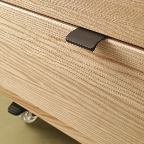 LUKA Armoire de rangement à roulettes L41xP50cm Frêne Voir Vert